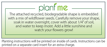 Plantable Greeting Card Instructions Plantable Card Instructions