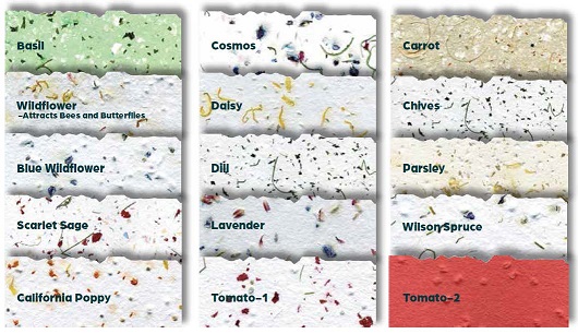 Available Seed Papers for Raffia Tie Bookmarks