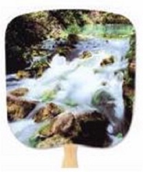 Cascade Still Life Hand Fan Cascade Still Life Hand Fan