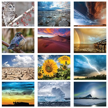 Old Farmers Almanac Weather Watchers Calendar Monthly Scenes