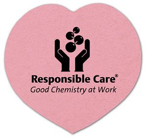 4 inch Heart Shaped Sponge