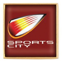 Custom Lapel Pins inch Square